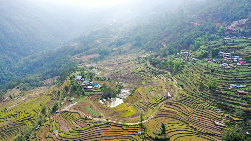 A drone shot of a valley composed of agricultural terraces and forests.