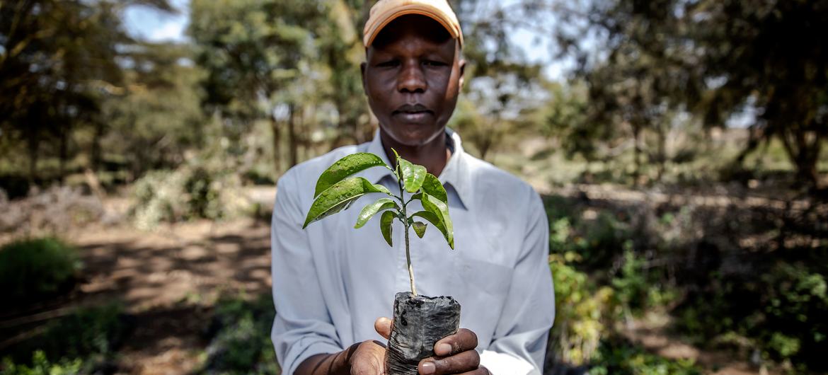 Forests are being restored through biodiversity enterprise programmes in Kenya.